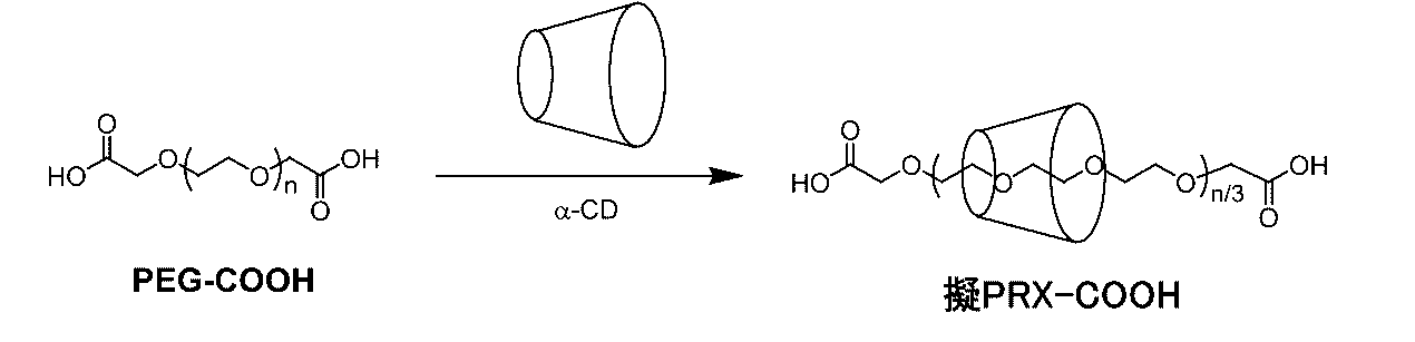 Figure JPOXMLDOC01-appb-C000032