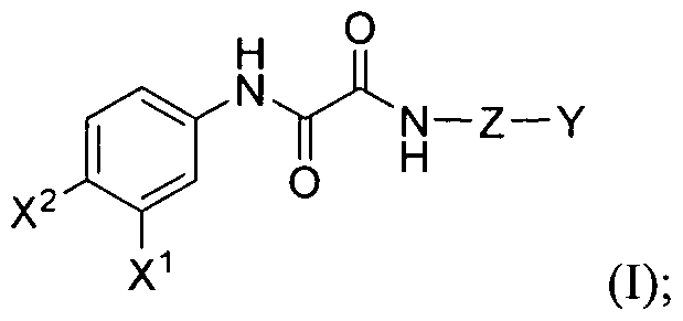 Figure imgf000004_0001
