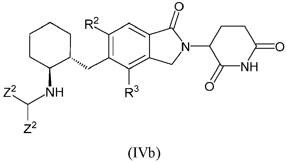 Figure imgb0124