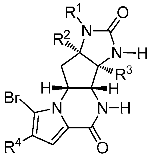 Figure imgf000029_0002