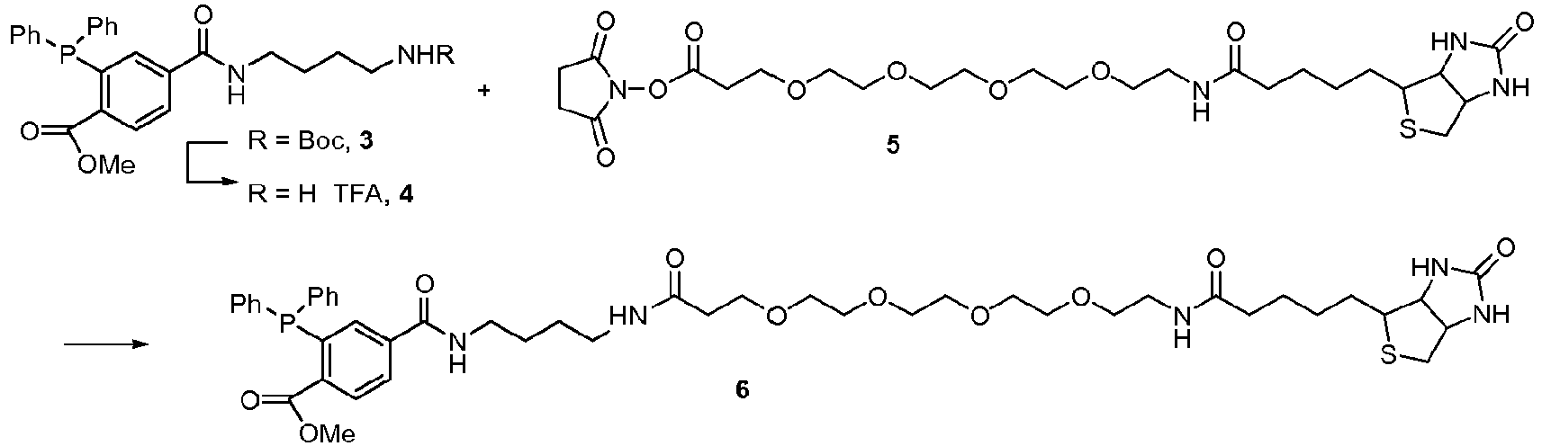 Figure imgb0010