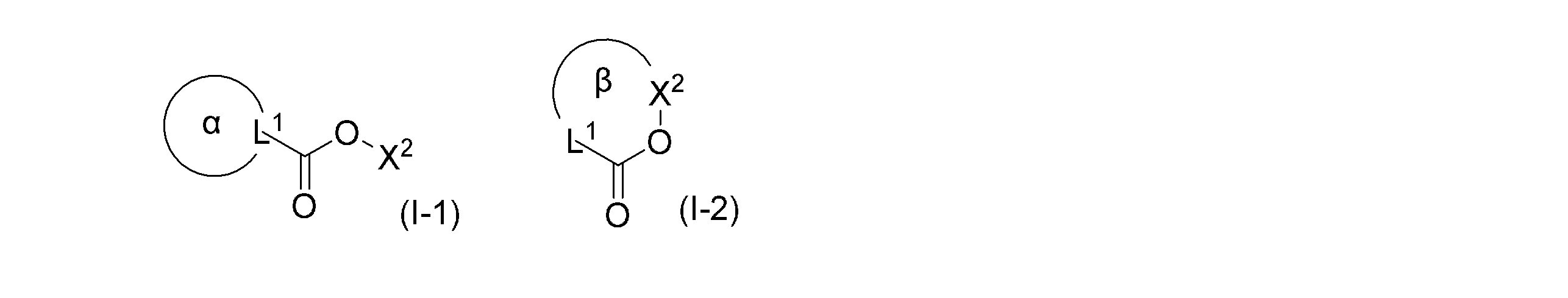 Figure JPOXMLDOC01-appb-C000016