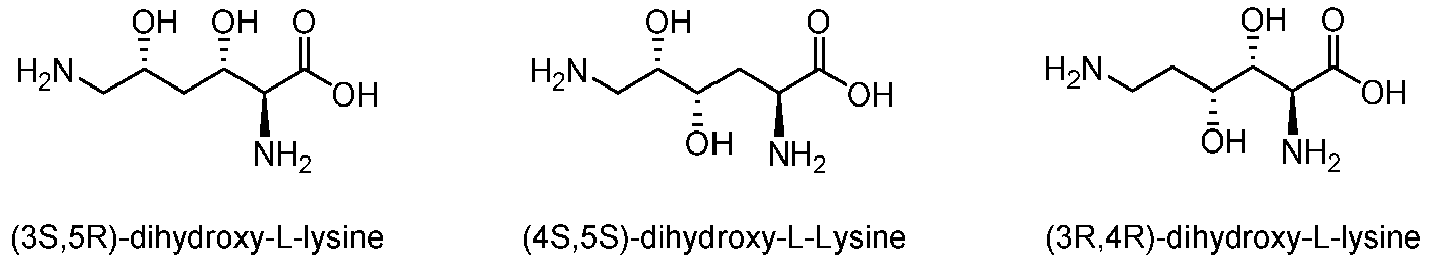 Figure imgb0013