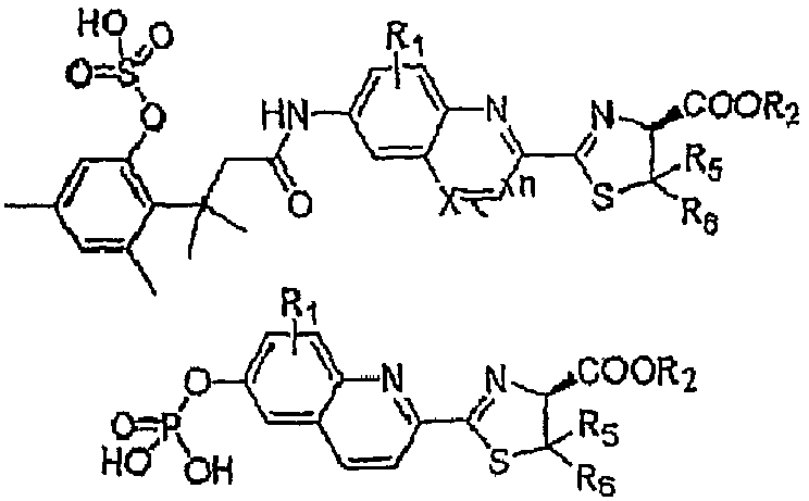 Figure imgb0051