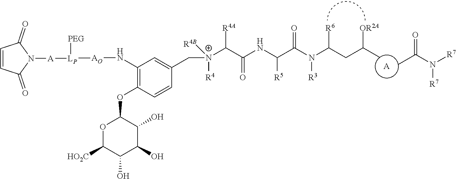 Figure US11229708-20220125-C00248