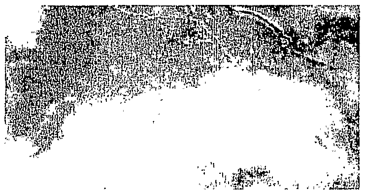 Figure imgf000026_0002