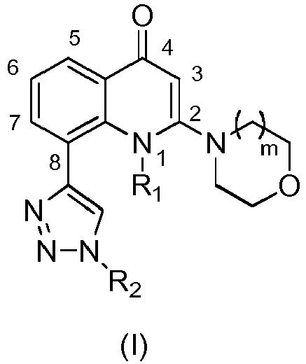 Figure imgb0002