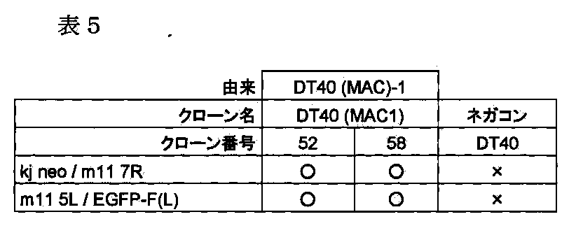 Figure JPOXMLDOC01-appb-T000014