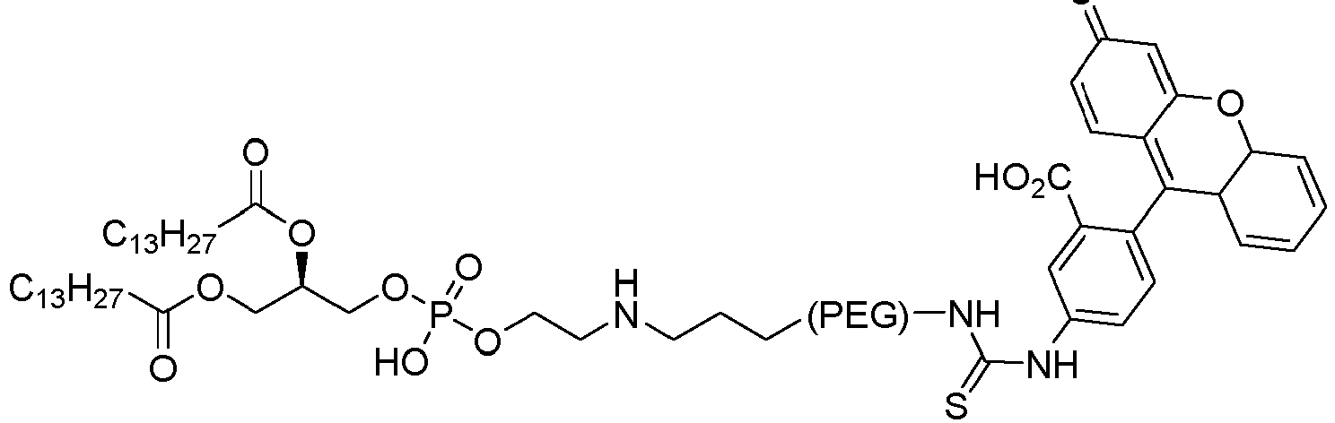 Figure imgb0004