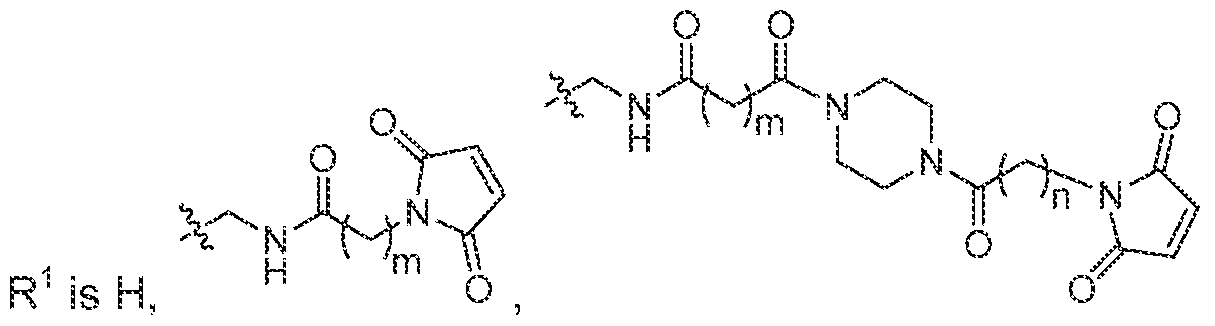 Figure imgf000004_0003