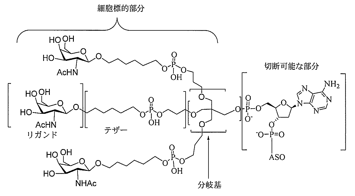 Figure 2022017514000214