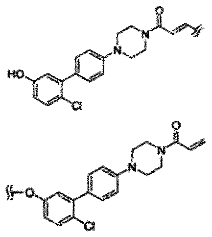 Figure JPOXMLDOC01-appb-C000015