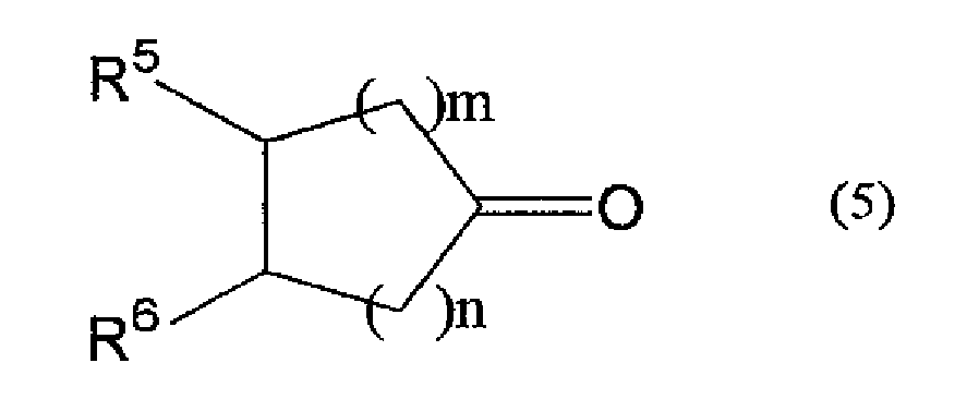 Figure imgb0005