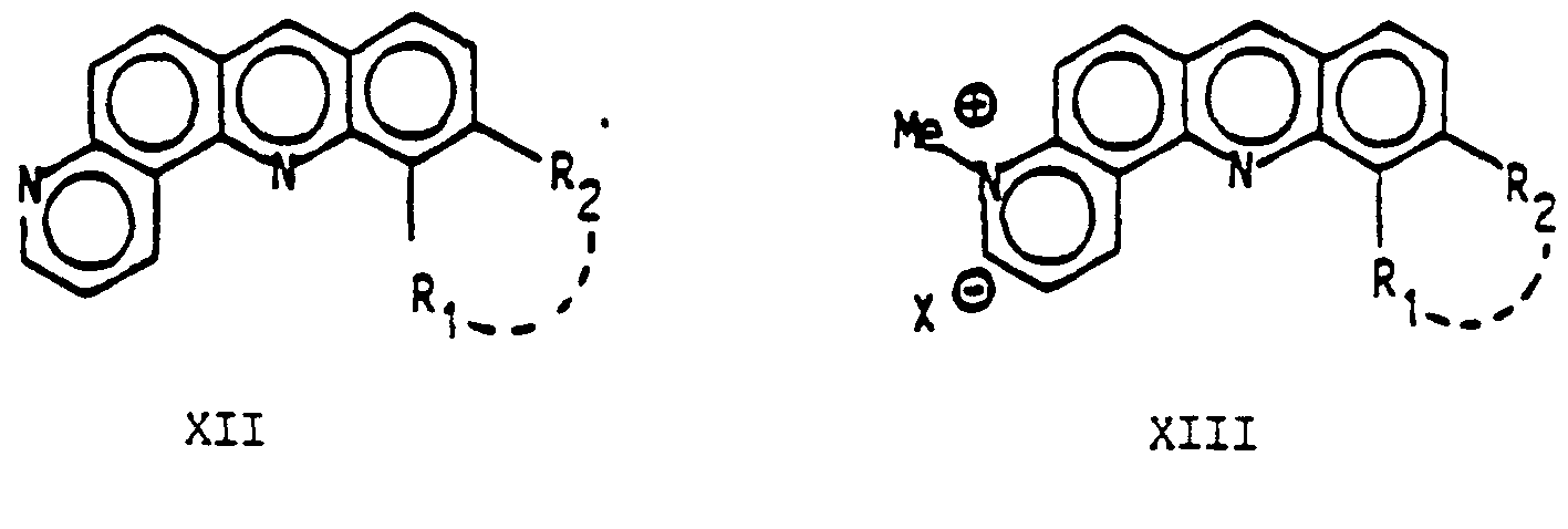 Figure imgf000019_0002