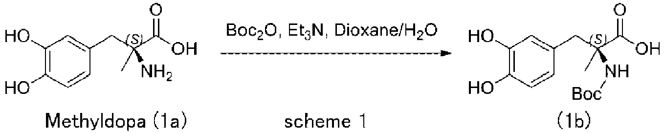 Figure imgb0024