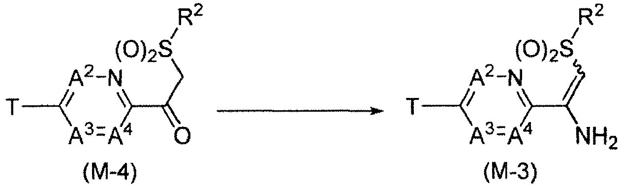 Figure imgb0024