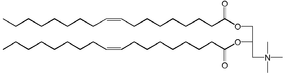 Figure imgb0019