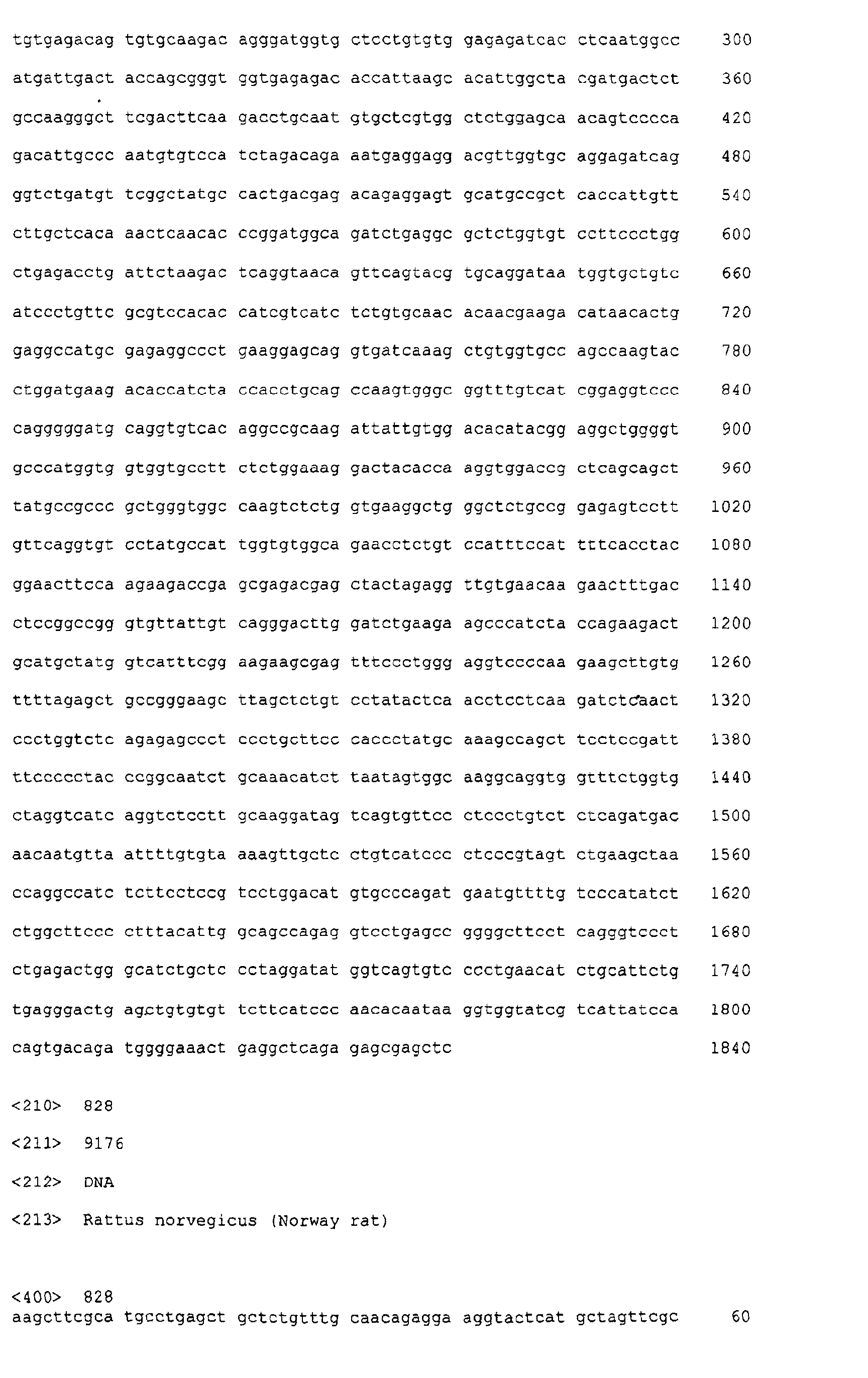 Figure 08920001