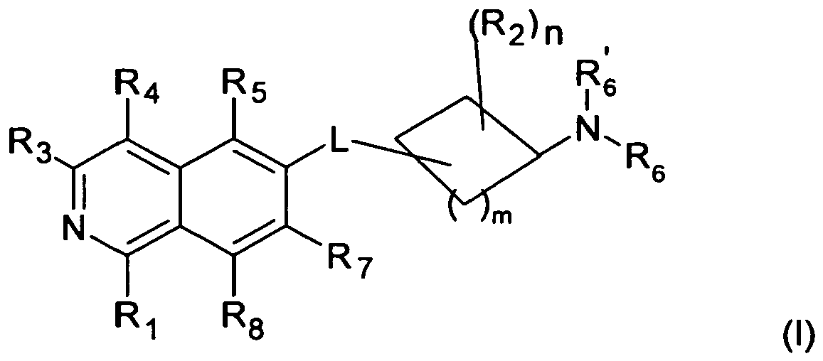 Figure imgb0002