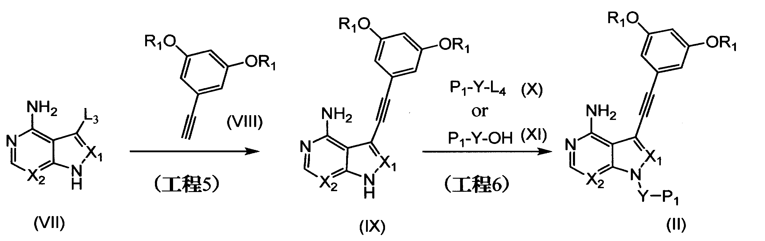 Figure JPOXMLDOC01-appb-C000064