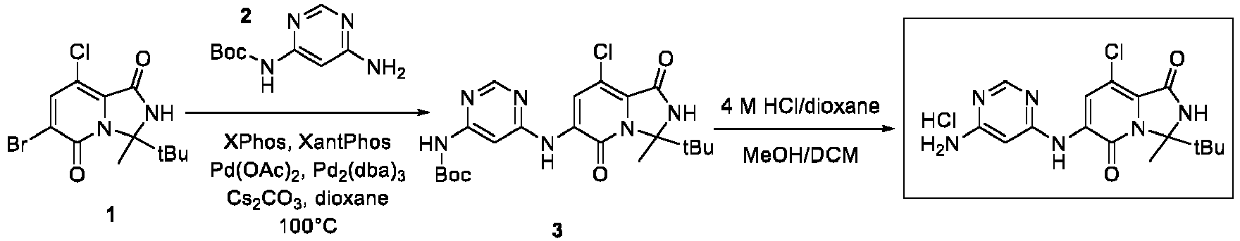 Figure imgb0243