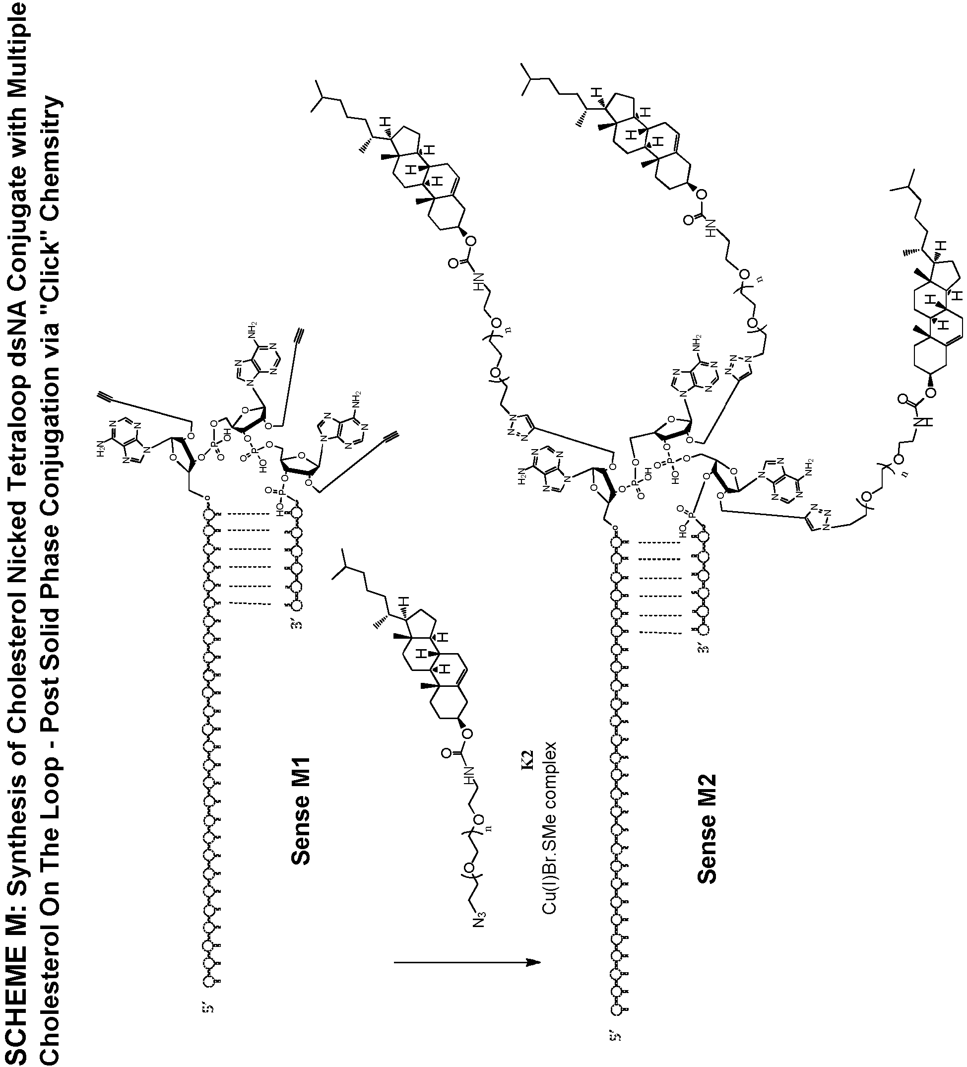 Figure imgb0097