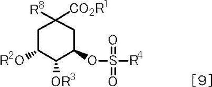 Figure JPOXMLDOC01-appb-C000018