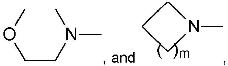 Figure imgb0022