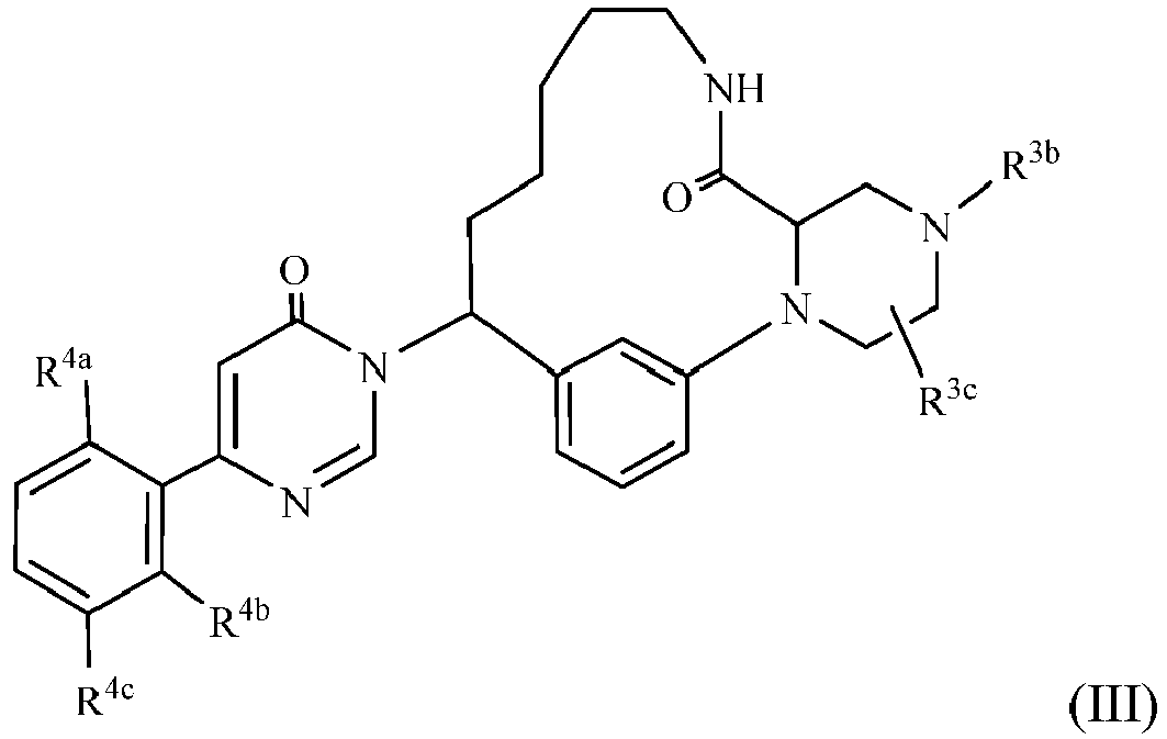 Figure imgb0010