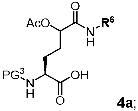 Figure imgb0806
