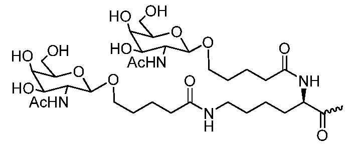 Figure imgf000153_0001