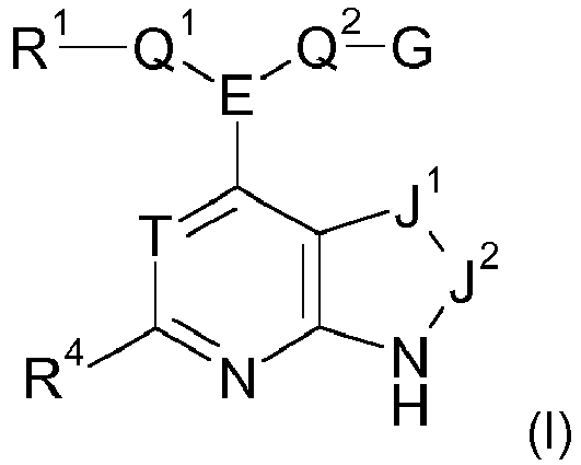 Figure imgb0163