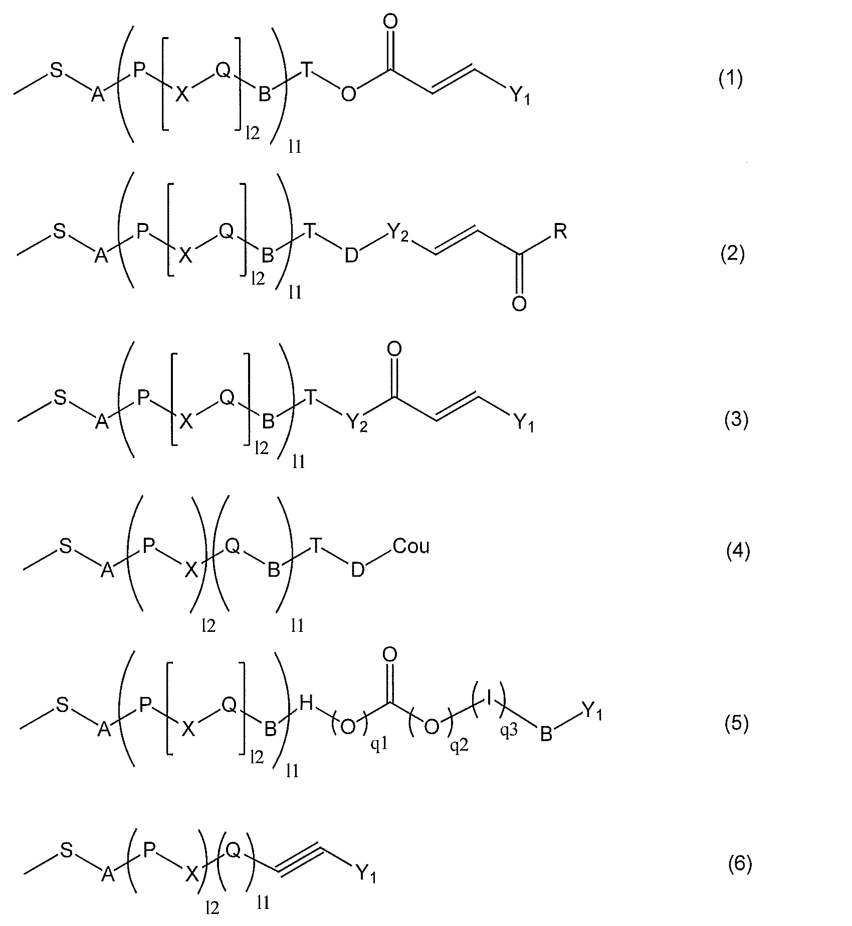 Figure JPOXMLDOC01-appb-C000023