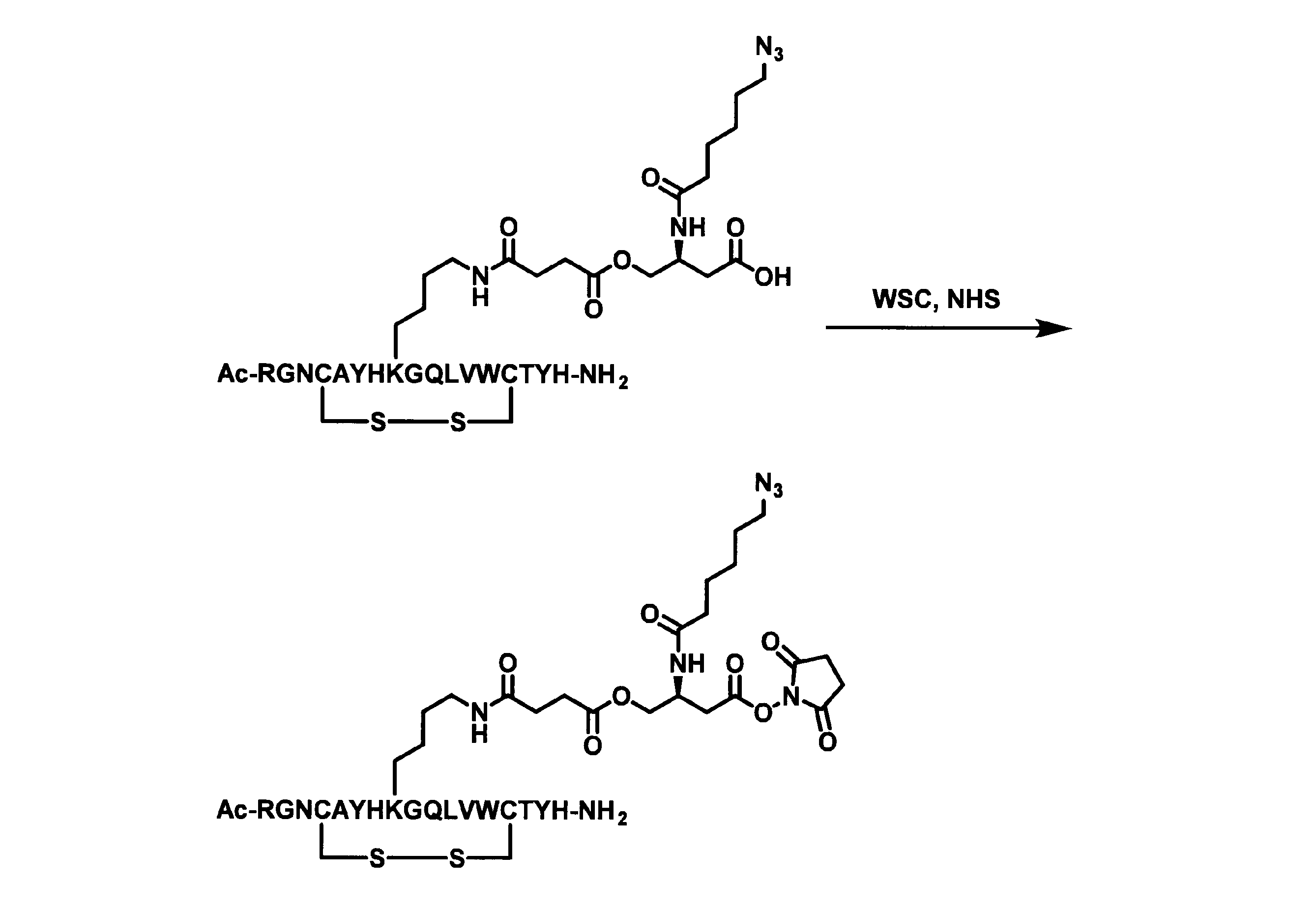 Figure JPOXMLDOC01-appb-C000101