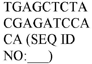 Figure imgb0031