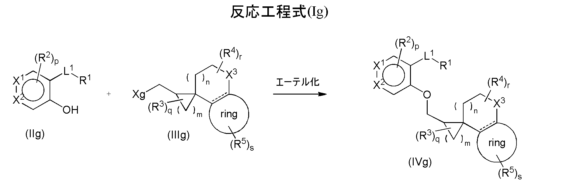 Figure JPOXMLDOC01-appb-C000038