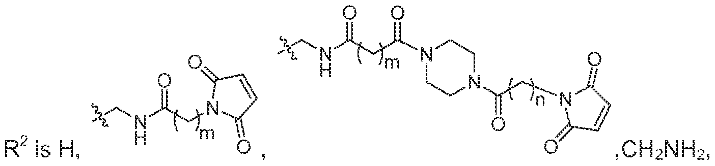 Figure imgf000005_0001