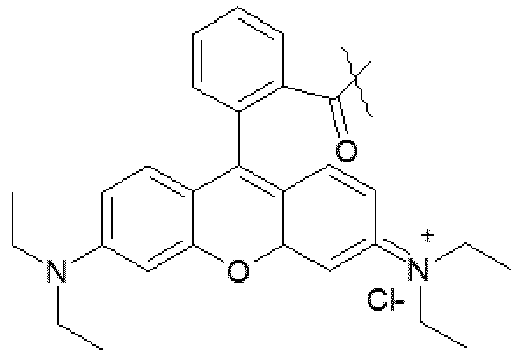 Figure imgb0022