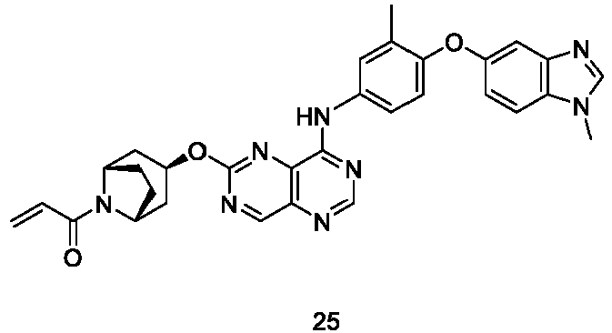 Figure imgb0145