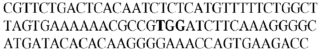 Figure imgb0074