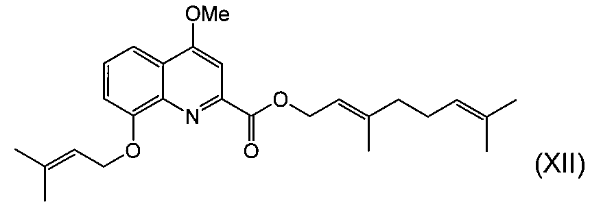 Figure JPOXMLDOC01-appb-C000010