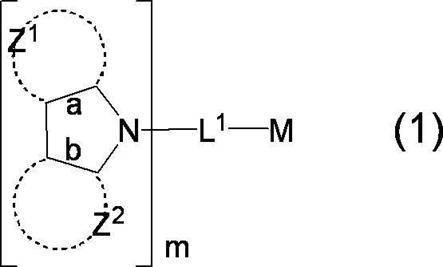 Figure JPOXMLDOC01-appb-C000013