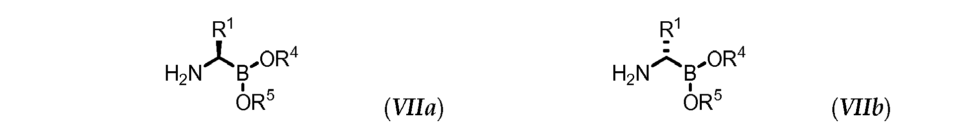 Figure imgb0013