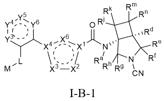 Figure 0007530889000017