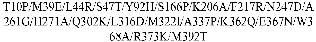 Figure imgb0429