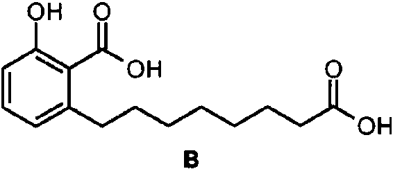 Figure imgf000007_0002