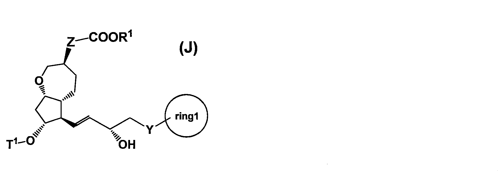 Figure JPOXMLDOC01-appb-C000041