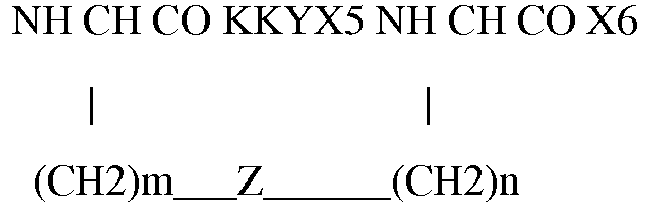 Figure imgb0056