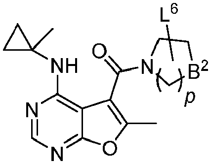 Figure imgb0053