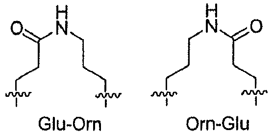 Figure imgb0019